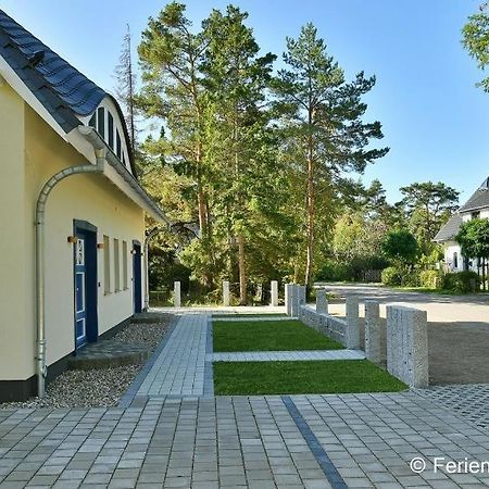 Duene 7 Appartement Dierhagen Buitenkant foto